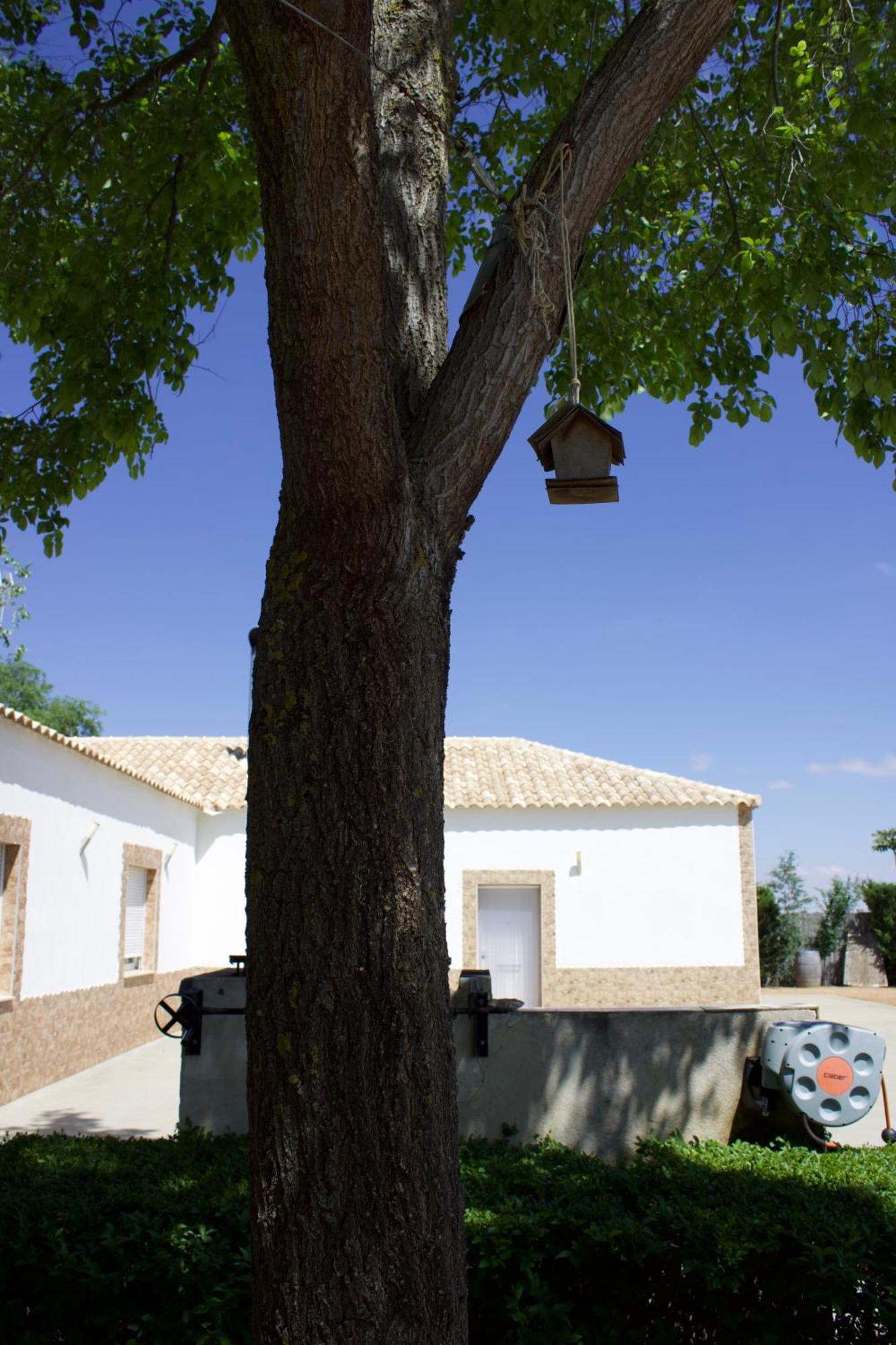 Lujosa Casa En La Cuna Del Quijote Tomelloso Esterno foto